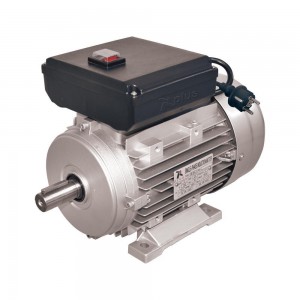 Ηλεκτροκινητήρας PLUS ML 100L-2 - 4HP - 2800RPM - Μονοφασικός