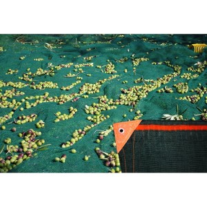 Ελαιόδιχτο TORONET 8x12m Πυκνότητας 90gr/m²