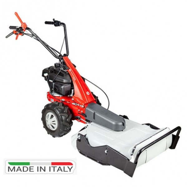 Καταστροφέας Χόρτου Βενζίνης Αυτοκινούμενος EUROSYSTEM MINIEFFE RM RV200 Καταστροφέας Χόρτου Βενζίνης Αυτοκινούμενος EUROSYSTEM MINIEFFE RM RV200