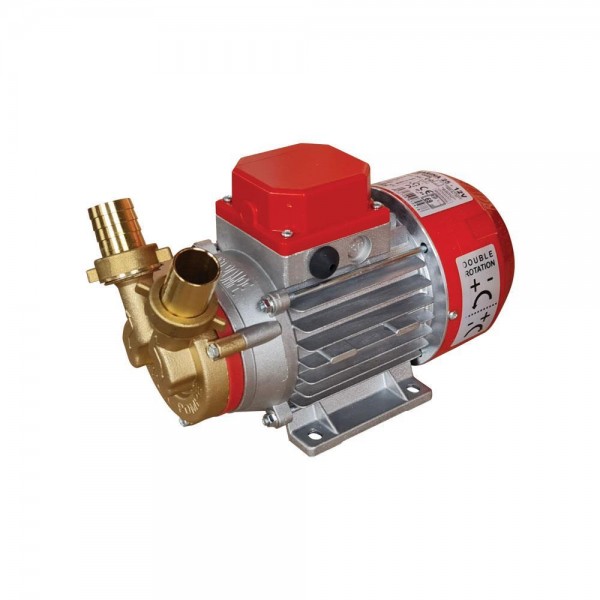 Αντλία Μεταγγίσεωv Μπαταρίας 12V - ROVER MARINA 25-12V - 0.6HP - 2850RPM