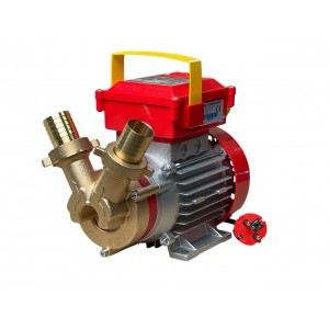 Αντλία Μεταγγίσεωv ROVER 30 CE - 1Hp / 2850RPM