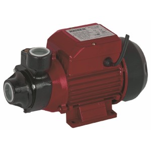 RAIDER Αντλία ηλεκ. περιφερειακή νερού RD-PK60 370W 070101