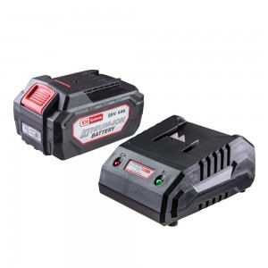 RAIDER R20 Φορτιστής & μπαταρία Li-ion 20V 4Ah/1h RDP-R20 131167