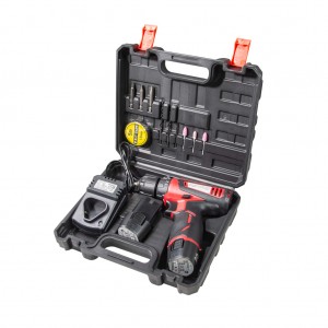 RAIDER Δραπανοκατσάβιδο 12V Li RD-CDL09L 2 μπαταρίες 030125