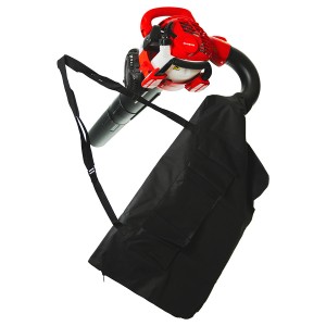 RAIDER Φυσητήρας χειρός βενζίνης 1hp RD-GBV06 077404 RAIDER Φυσητήρας χειρός βενζίνης 1hp RD-GBV06 077404