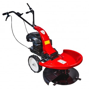 RAIDER Αυτοκινούμενος καταστροφέας βενζίνης 4hp RD-DM01 075017