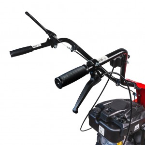 RAIDER Αυτοκινούμενος καταστροφέας βενζίνης 4hp RD-DM01 075017