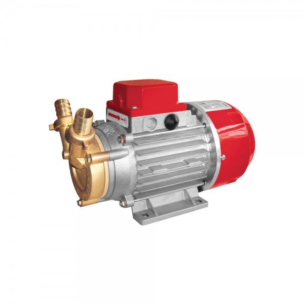 Αντλία Μεταγγίσεωv Μπαταρίας 12V - ROVER MARINA 30-12V - 1HP - 2850RPM